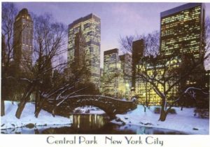 Central Park in Winter